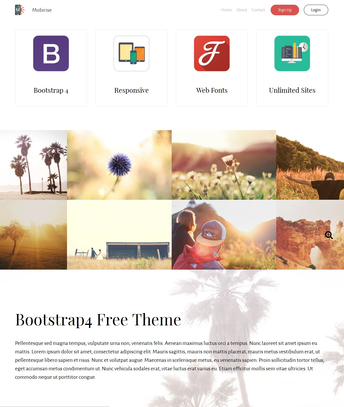 Responsive Bootstrap Basic Theme